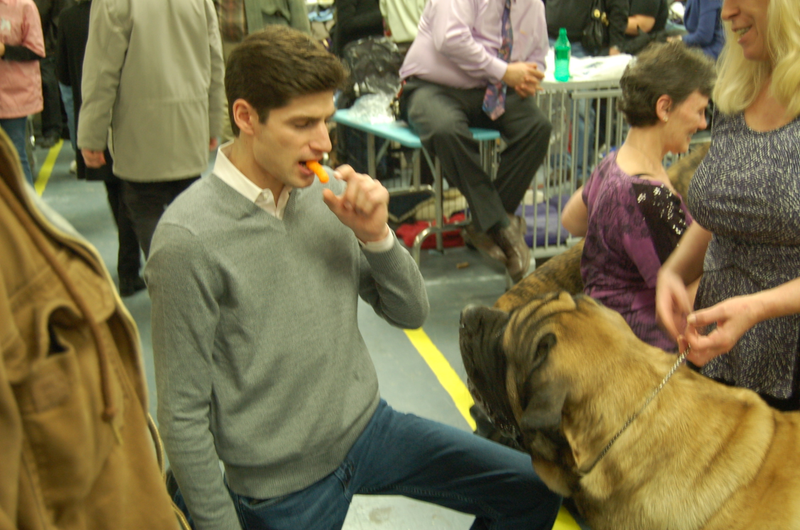 Illustration for article titled Calling Off The Dogs: Day 2 At Westminster